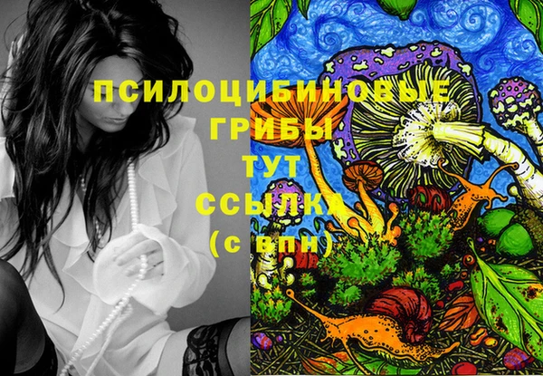 амф Ладушкин