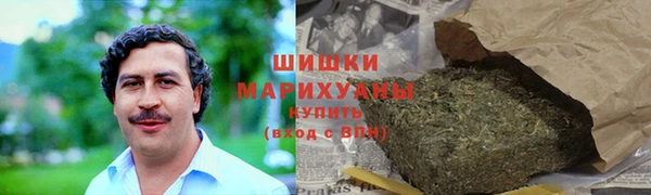 амф Ладушкин